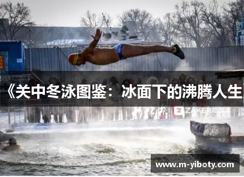 《关中冬泳图鉴：冰面下的沸腾人生》