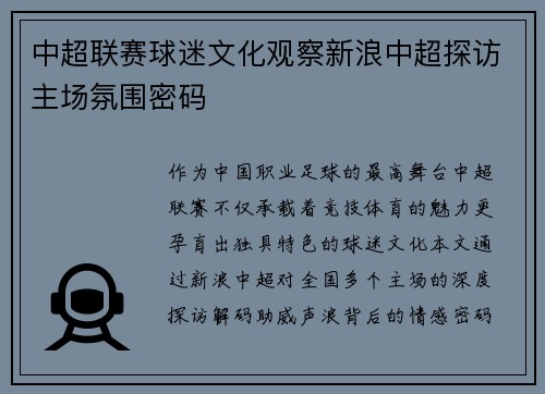 中超联赛球迷文化观察新浪中超探访主场氛围密码