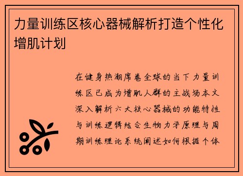 力量训练区核心器械解析打造个性化增肌计划